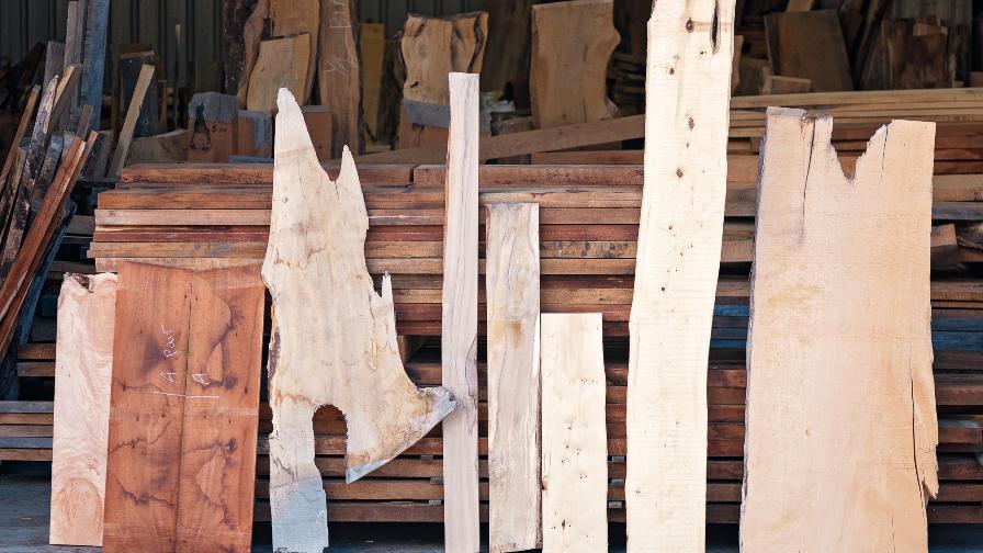 Tasmanian Timbers Assorted Slabs
