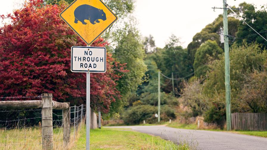 Tasmanian Timbers Road
