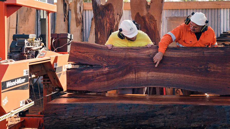 Tasmanian Timber Assorted Slabs