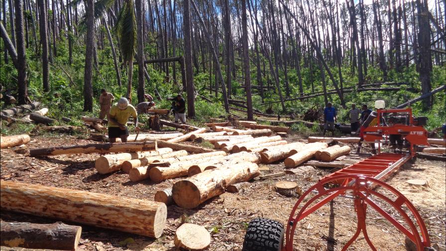 Fiji logs